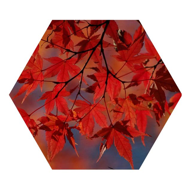 Wanddeko Pflanzen Red Maple