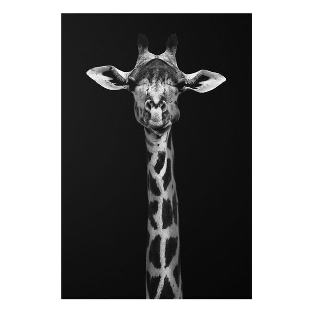 Wandbilder Giraffen Dunkles Giraffen Portrait