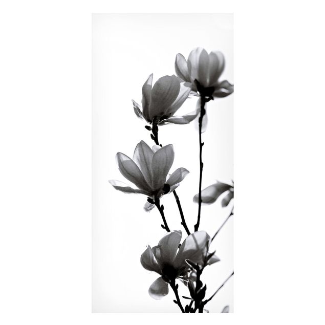 Wanddeko Esszimmer Frühlingsbote Magnolie Schwarz Weiß