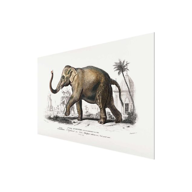 Wanddeko Büro Vintage Lehrtafel Elefant