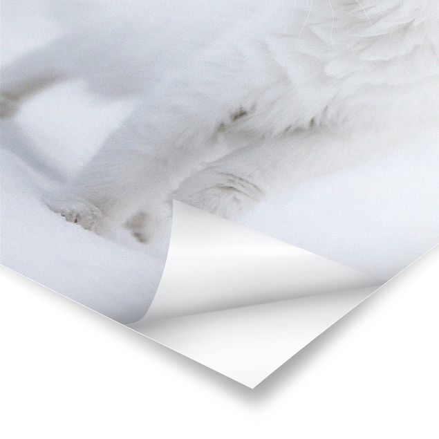 Deko Katze Weiß wie Schnee