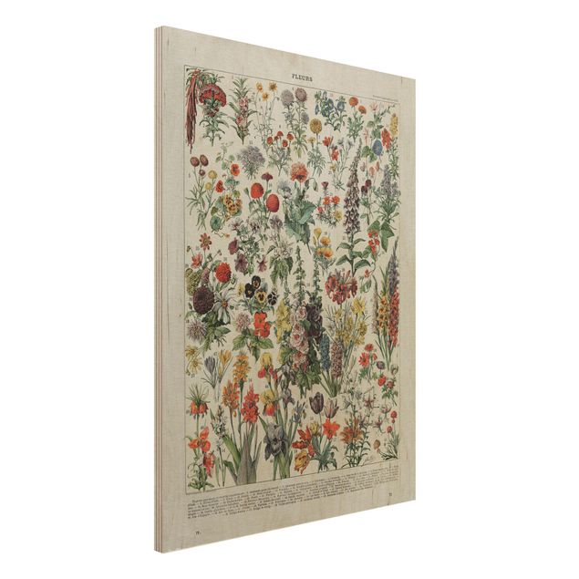 Wanddeko bunt Vintage Lehrtafel Blumen IV