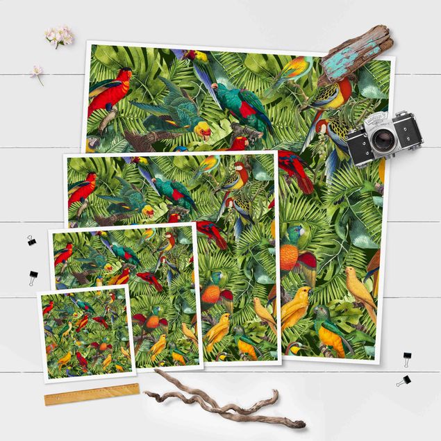 Wanddeko über Sofa Bunte Collage - Papageien im Dschungel