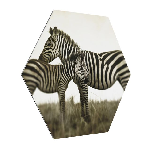 Wanddeko Büro Zebrapaar