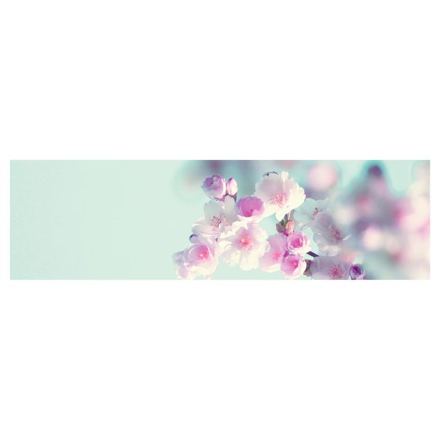 Klebefolien Farbenfrohe Kirschblüten