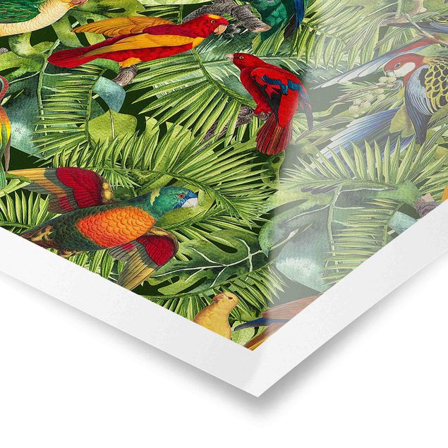 Wohndeko Pflanzen Bunte Collage - Papageien im Dschungel