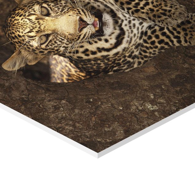 Wanddeko über Bett Leopard ruht auf einem Baum