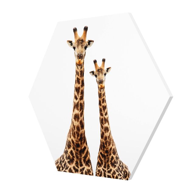 Wanddeko draußen Portait Zweier Giraffen