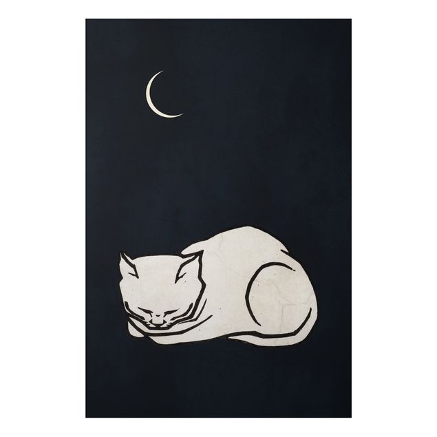 Wanddeko Flur Schlafende Katze Illustration