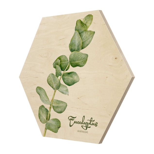Wanddeko Praxis Aquarell Botanik Eukalyptus