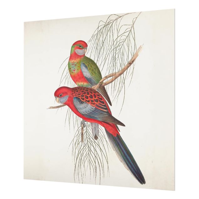 Wanddeko Tiere Tropische Papageien III