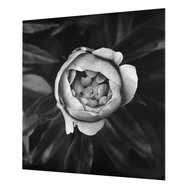 Wanddeko schwarz-weiß Pfingstrosenblüte vor Blättern Schwarz Weiß