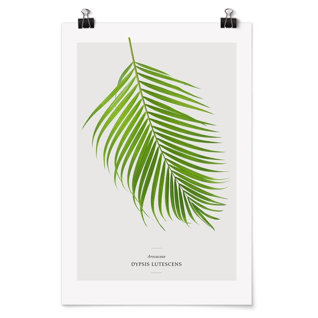 Wanddeko Esszimmer Tropisches Blatt Areca Palme