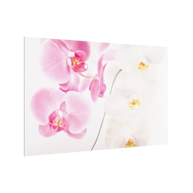 Wanddeko rosa Delicate Orchids