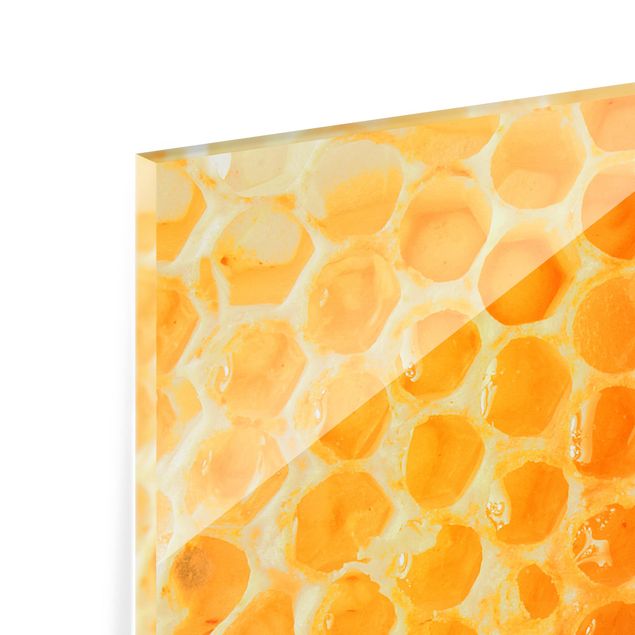 Spritzschutz Glas - Honey Bee - Panorama - 5:2