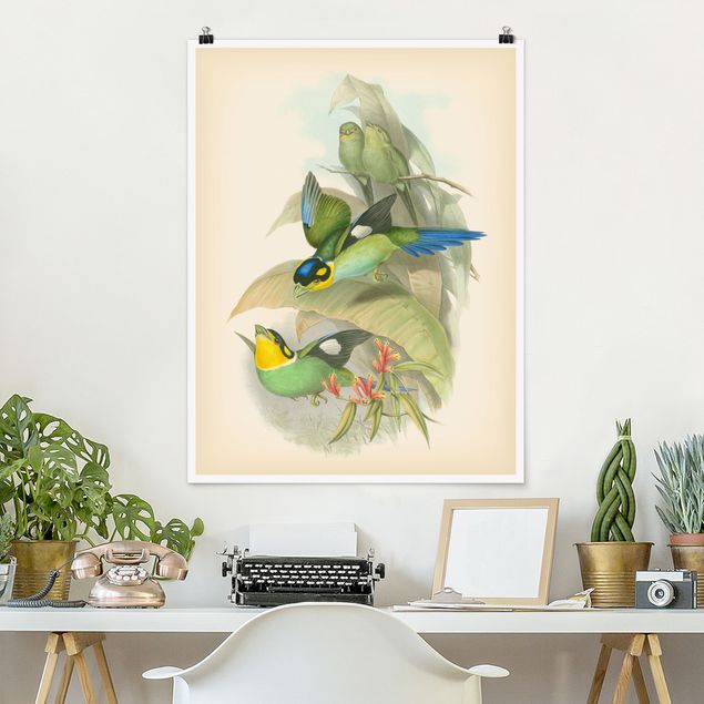 Wanddeko Schlafzimmer Vintage Illustration Tropische Vögel