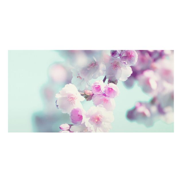 Deko Fotografie Farbenfrohe Kirschblüten