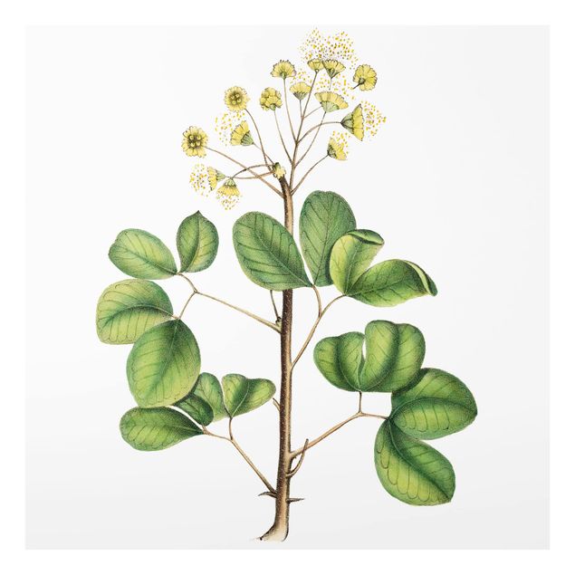 Wanddeko weiß Laubwerk mit Blüten IV