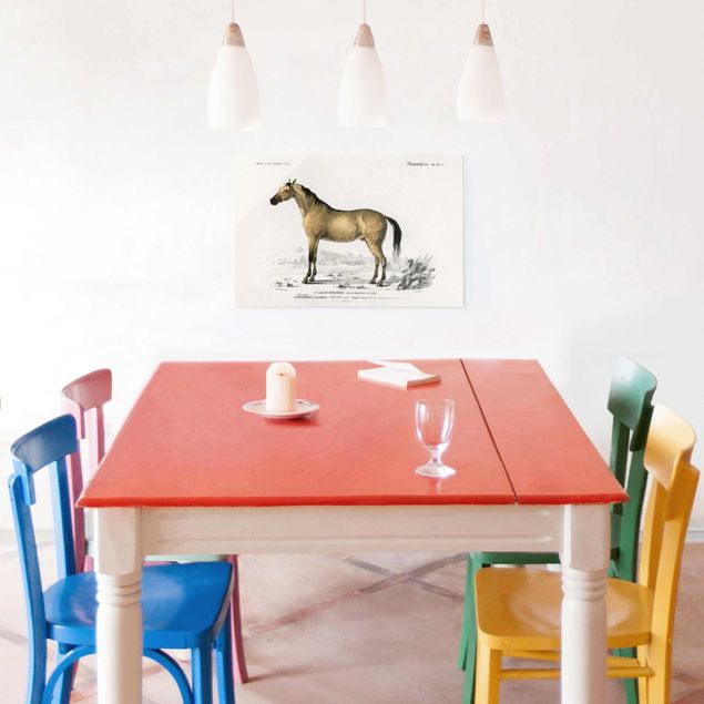 Wanddeko Flur Vintage Lehrtafel Pferd