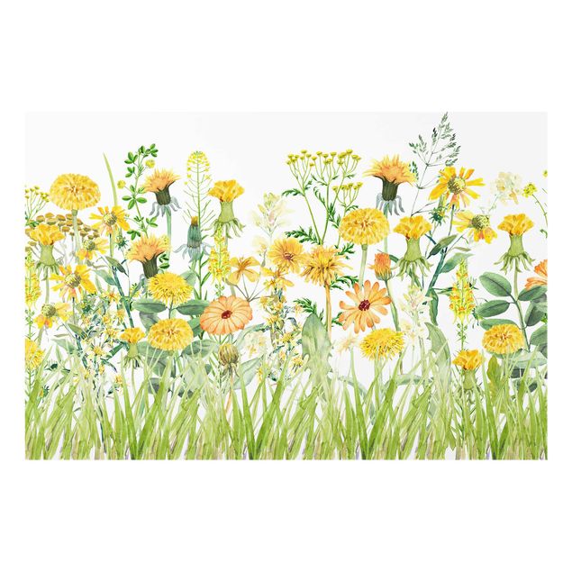 Wanddeko Illustration Aquarellierte Blumenwiese in Gelb