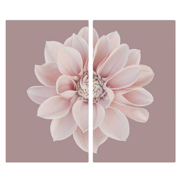 Herdabdeckplatten Blumen Dahlie Blume Lavendel Weiß Rosa