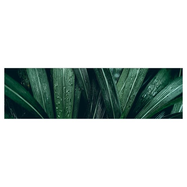 Küchenrückwand Folie selbstklebend Grüne Palmenblätter