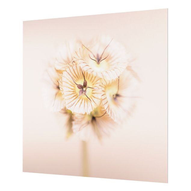 Wanddeko Fotografie Pastellfarbener Blütenstrauß II