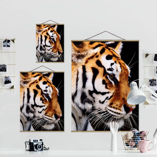 Wanddeko Büro Tiger Schönheit