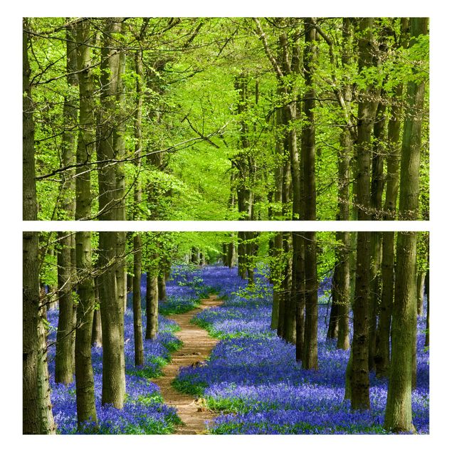 Wanddeko Bäume Wanderweg in Hertfordshire