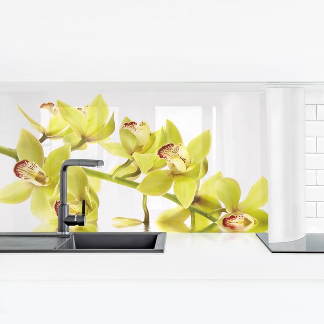 Küchenrückwand Folie Blumen Elegant Orchid Waters