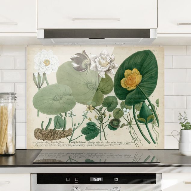 Küche Dekoration Vintage Illustration Weiße Wasserlilie