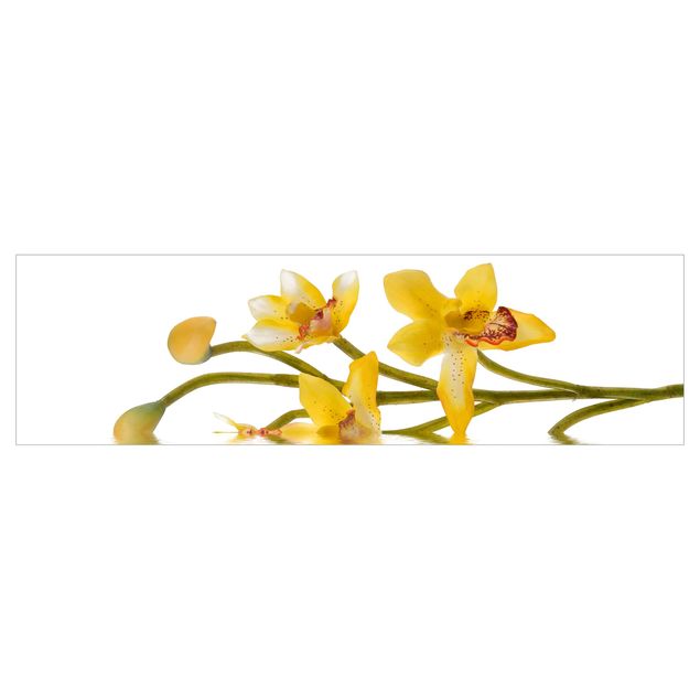 Küchenrückwand Folie selbstklebend Saffron Orchid Waters