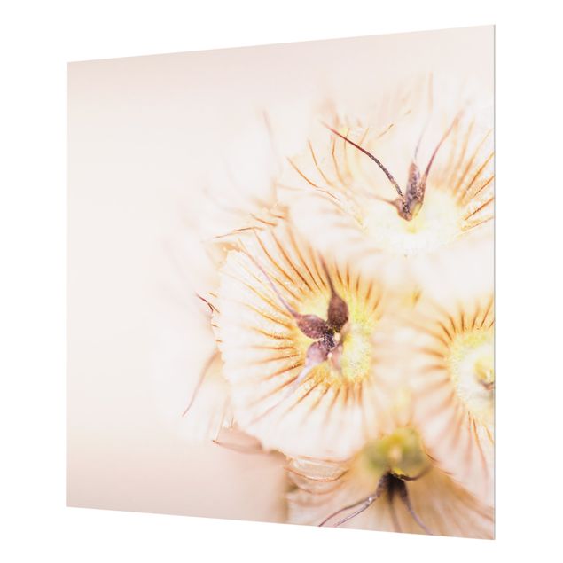 Wanddeko Fotografie Pastellfarbener Blütenstrauß