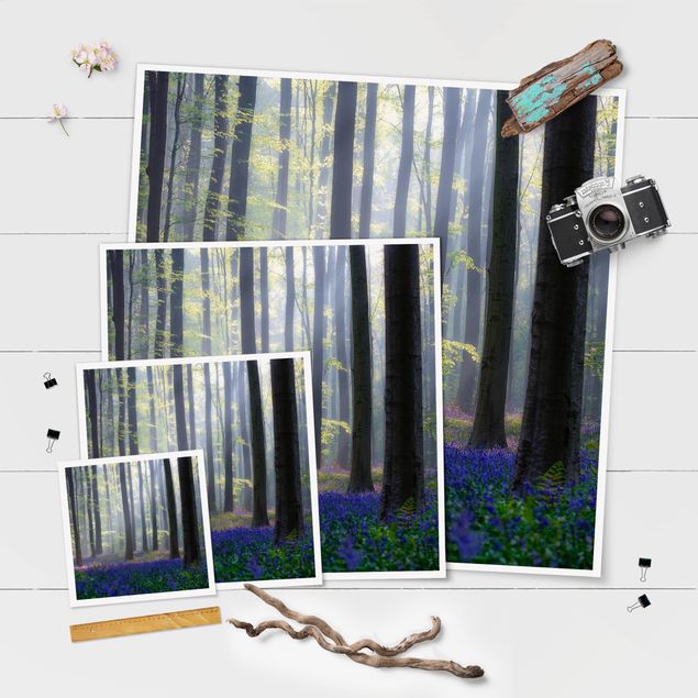 Wanddeko Büro Frühlingstag im Wald
