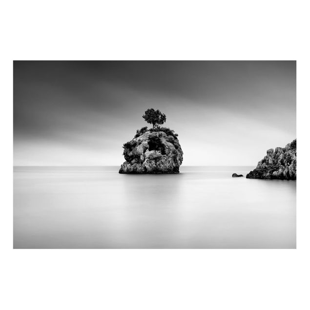 Wanddeko Esszimmer Felseninsel im Meer Schwarz-Weiß