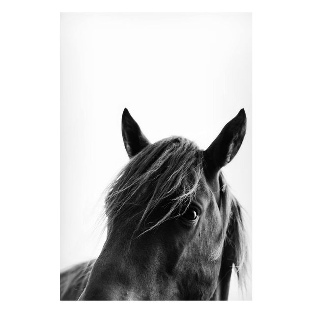 Wanddeko Esszimmer Neugieriges Pferd