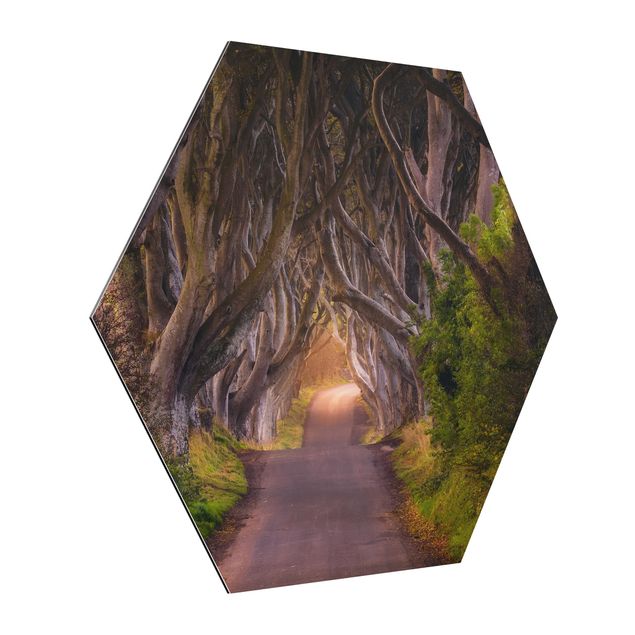 Wanddeko Flur Tunnel aus Bäumen