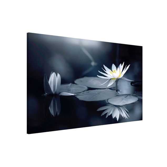 Wanddeko blau Lotus Spiegelung im Wasser