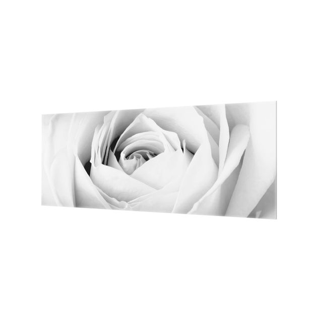 Wanddeko Fotografie Close Up Rose