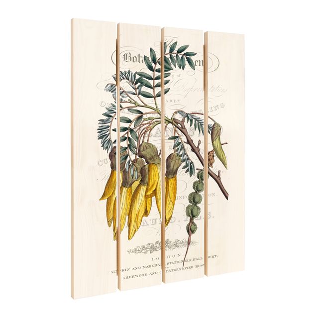 Wanddeko Flur Botanisches Tableau - Schnurbaum