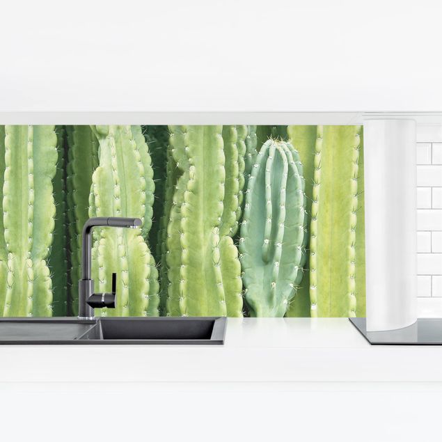 Küchenrückwand Folie Blumen Kaktus Wand