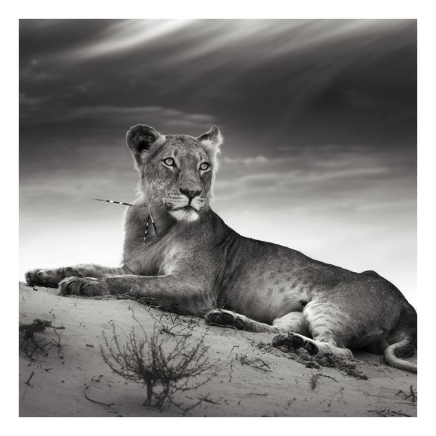Deko Schwarz & Weiß Resting Lion