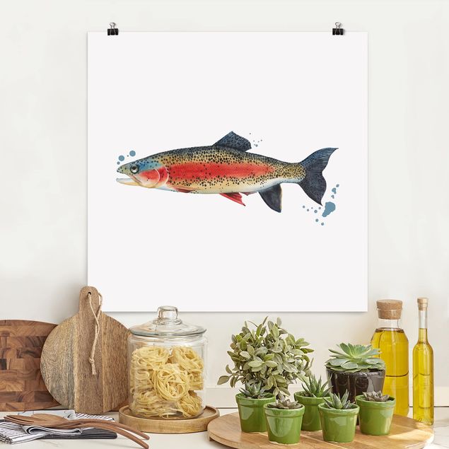 Wandbilder Fische Farbfang - Forelle