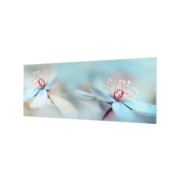 Wohndeko Fotografie Blüten in Hellblau