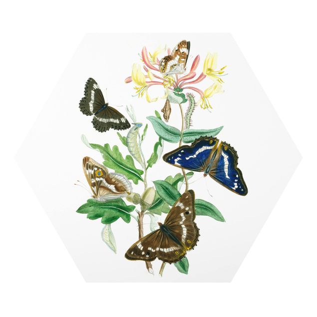 Wanddeko Büro Britische Schmetterlinge IV