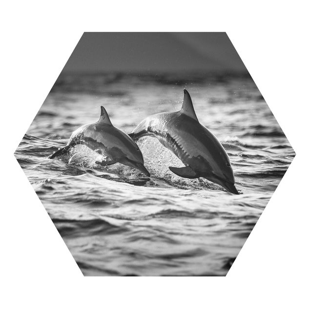 Wanddeko Büro Zwei springende Delfine