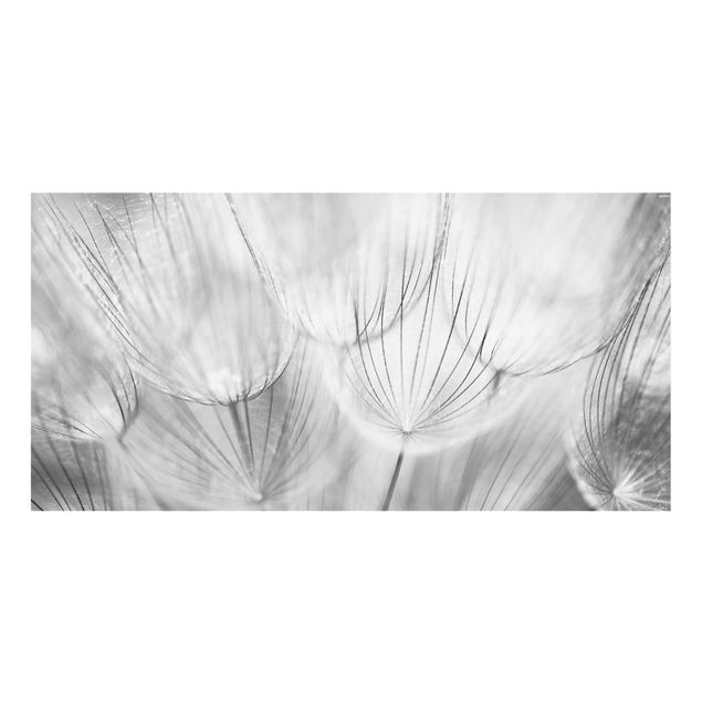 Wanddeko Pusteblume Pusteblumen Makroaufnahme in schwarz weiß