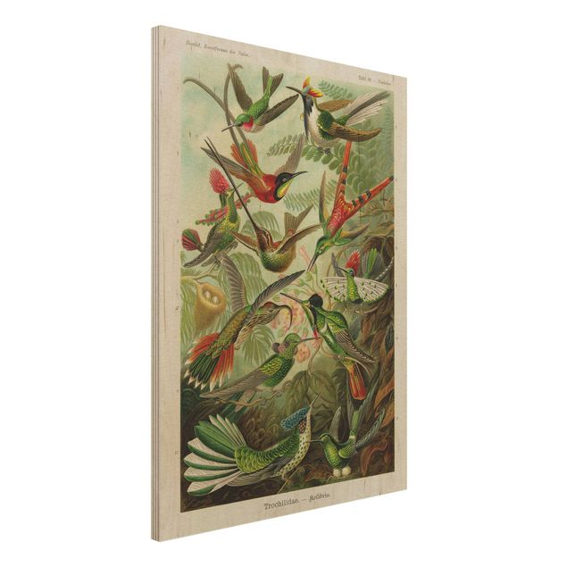 Wanddeko bunt Vintage Lehrtafel Kolibris