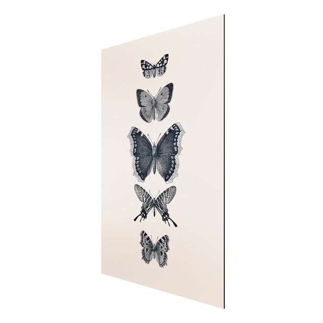 Wanddeko grau Tusche Schmetterlinge auf Beige