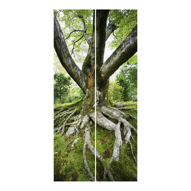 Wanddeko Esszimmer Alter Baum